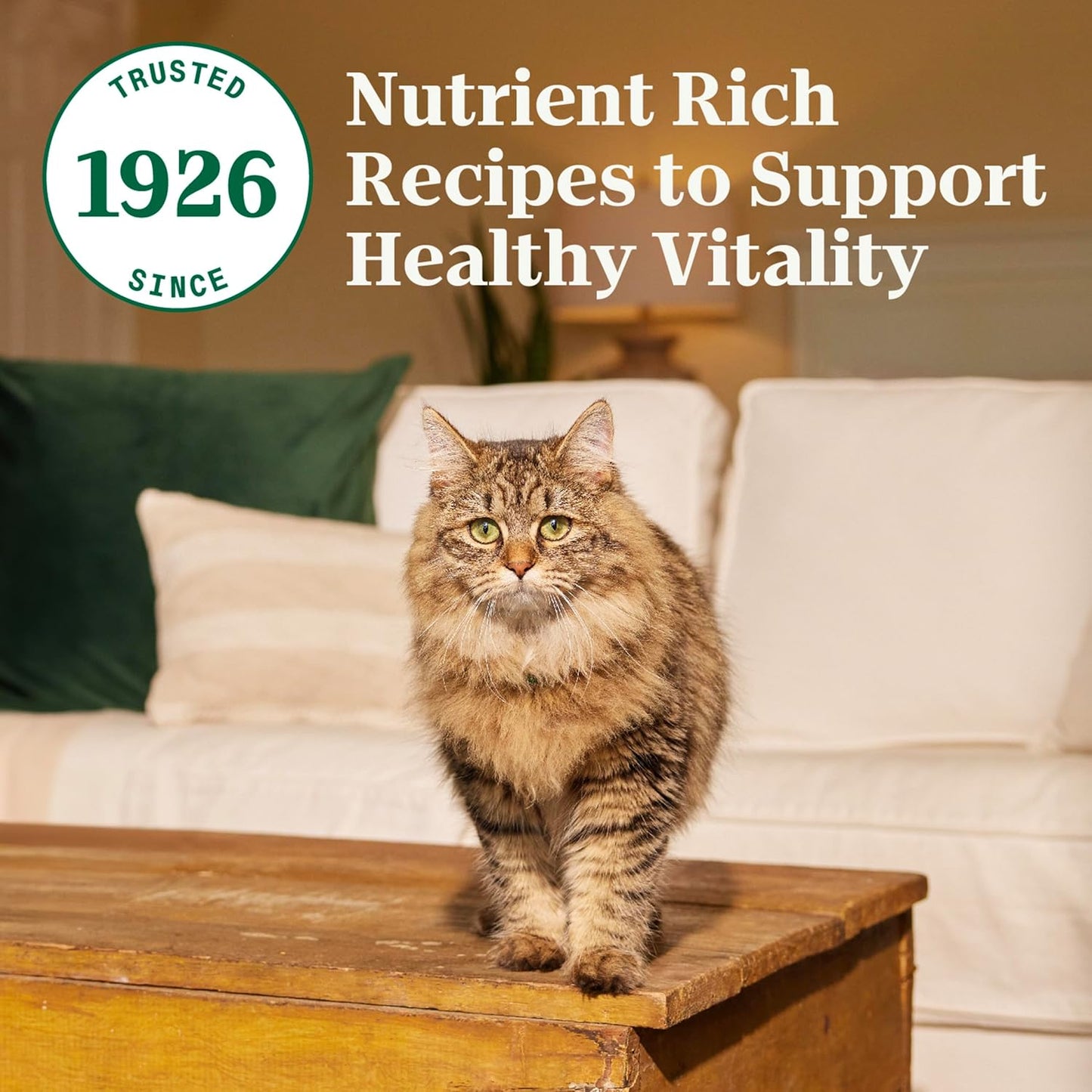 Wholesome Essentials Adult Dry Cat Food, Chicken & Brown Rice Recipe, 5 Lbs.