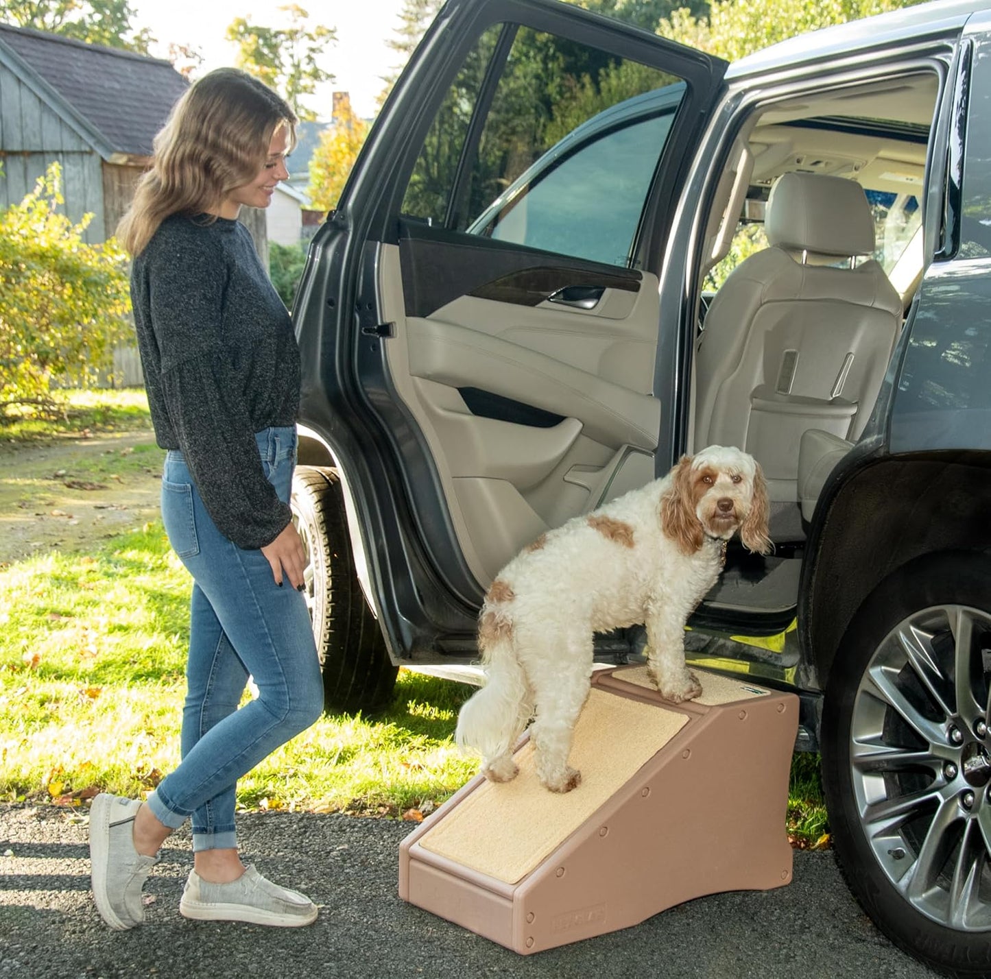 Stramp Stair and Ramp Combination for Dogs/Cats, Easy Step, Lightweight/Portable, Sturdy, Easy Assembly (No Tools Required) 1 Model, Available in 6 Colors