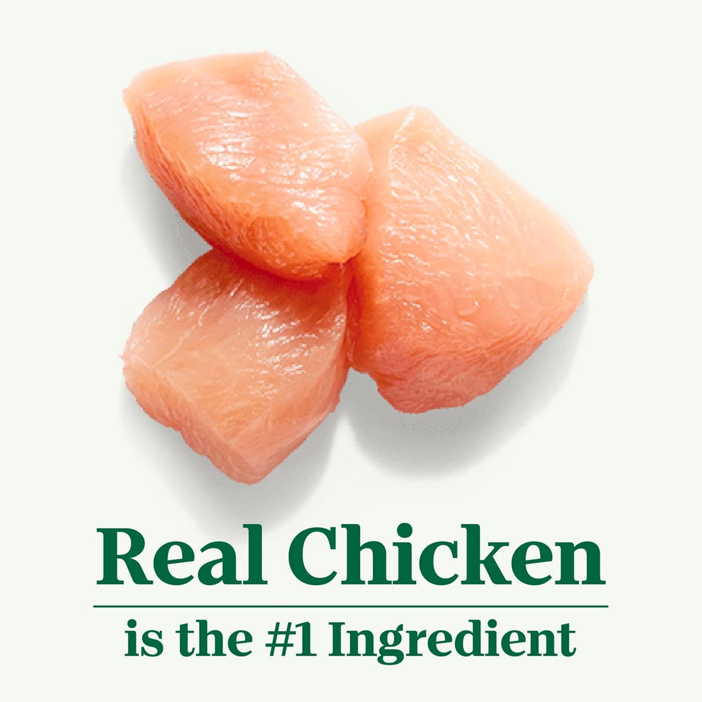 Wholesome Essentials Adult Dry Cat Food, Chicken & Brown Rice Recipe, 5 Lbs.