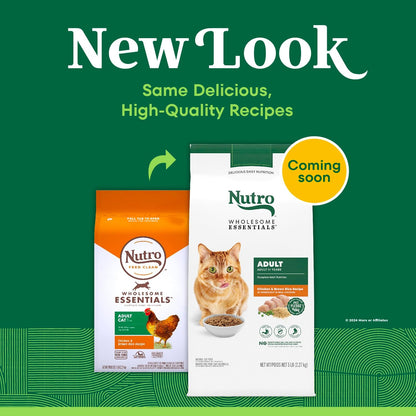 Wholesome Essentials Adult Dry Cat Food, Chicken & Brown Rice Recipe, 5 Lbs.