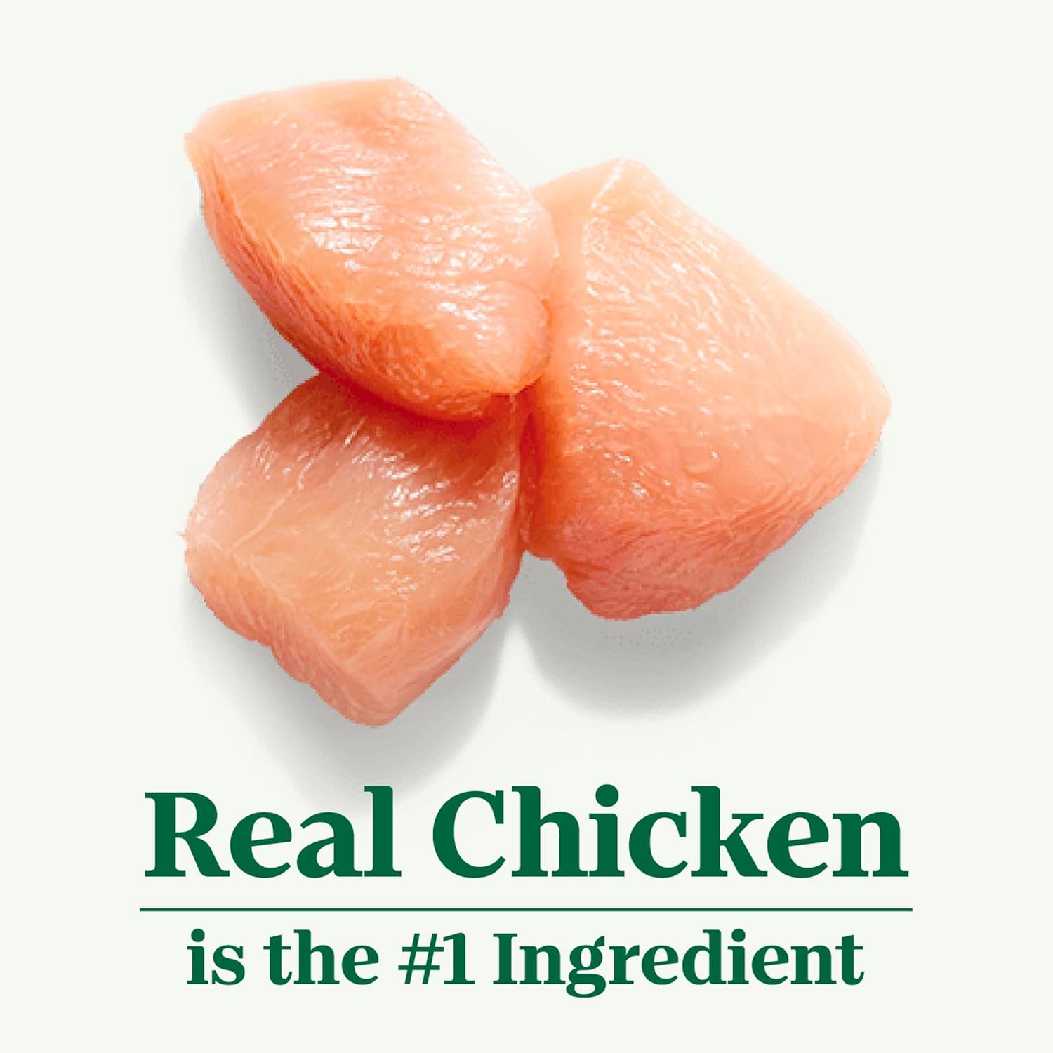 Wholesome Essentials Adult Dry Cat Food, Chicken & Brown Rice Recipe, 5 Lbs.